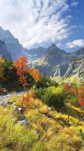 Preview wallpaper mountains, vegetation, road, stones, autumn
