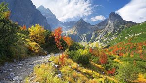 Preview wallpaper mountains, vegetation, road, stones, autumn