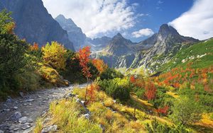 Preview wallpaper mountains, vegetation, road, stones, autumn