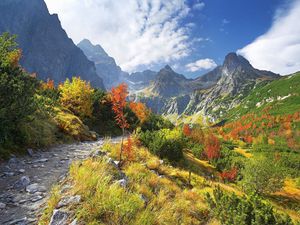 Preview wallpaper mountains, vegetation, road, stones, autumn