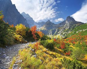 Preview wallpaper mountains, vegetation, road, stones, autumn