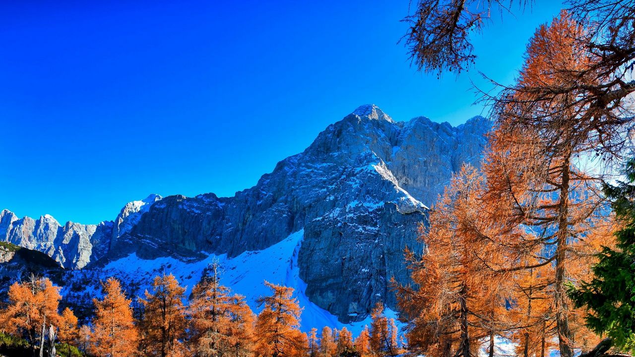 Wallpaper mountains, winter, sky, grass, trees, beautiful view