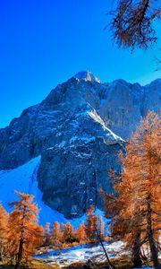 Preview wallpaper mountains, winter, sky, grass, trees, beautiful view