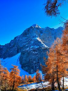 Preview wallpaper mountains, winter, sky, grass, trees, beautiful view