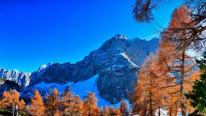 Preview wallpaper mountains, winter, sky, grass, trees, beautiful view