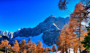 Preview wallpaper mountains, winter, sky, grass, trees, beautiful view