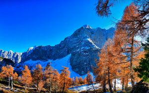 Preview wallpaper mountains, winter, sky, grass, trees, beautiful view