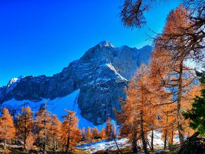 Preview wallpaper mountains, winter, sky, grass, trees, beautiful view