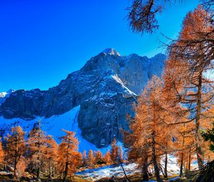 Preview wallpaper mountains, winter, sky, grass, trees, beautiful view