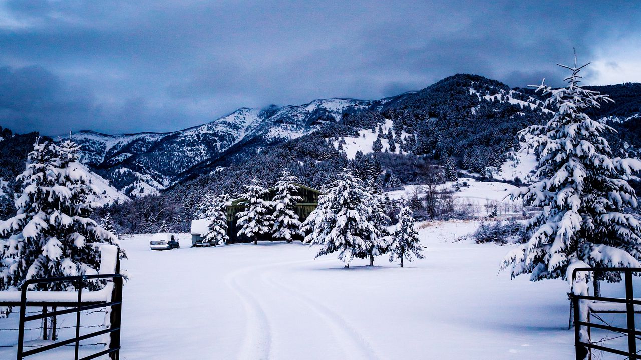 Wallpaper mountains, winter, snow, trees