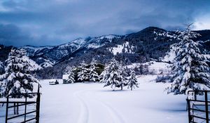 Preview wallpaper mountains, winter, snow, trees