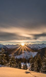 Preview wallpaper mountains, winter, snow, sunshine, firs