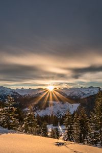 Preview wallpaper mountains, winter, snow, sunshine, firs