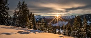 Preview wallpaper mountains, winter, snow, sunshine, firs