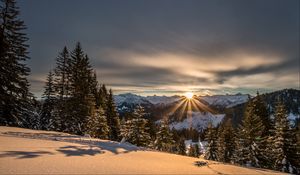 Preview wallpaper mountains, winter, snow, sunshine, firs