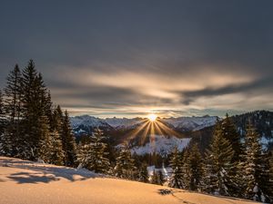 Preview wallpaper mountains, winter, snow, sunshine, firs