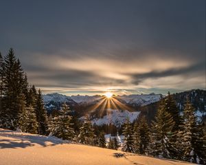 Preview wallpaper mountains, winter, snow, sunshine, firs