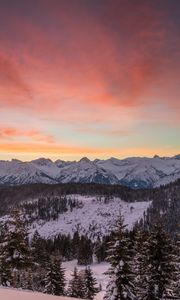 Preview wallpaper mountains, winter, snow, fir-trees, trees, hills