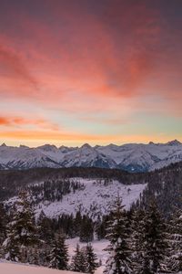 Preview wallpaper mountains, winter, snow, fir-trees, trees, hills