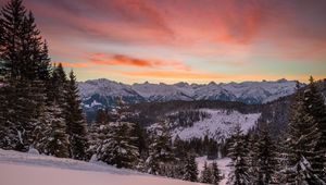 Preview wallpaper mountains, winter, snow, fir-trees, trees, hills