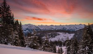 Preview wallpaper mountains, winter, snow, fir-trees, trees, hills