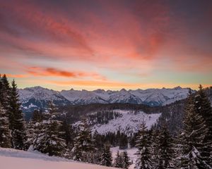 Preview wallpaper mountains, winter, snow, fir-trees, trees, hills