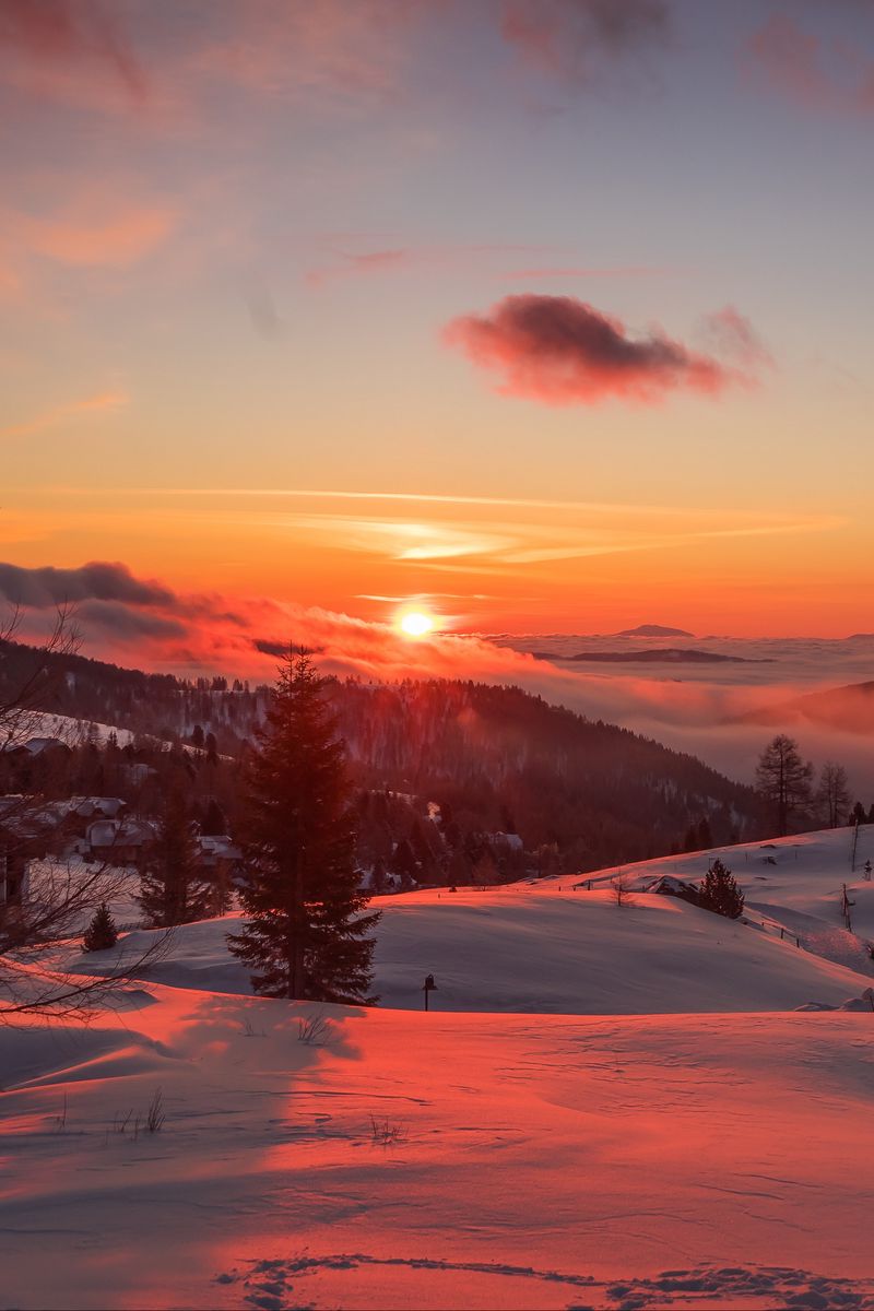 Download wallpaper 800x1200 mountains, winter, sunset, trees, austria  iphone 4s/4 for parallax hd background