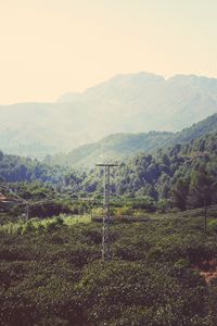 Preview wallpaper mountains, wires, trees