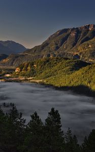 Preview wallpaper mountains, wood, fog, clouds, haze, light, shadows, freedom