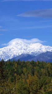 Preview wallpaper mountains, wood, trees, clouds, summer, snow, coniferous