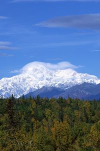 Preview wallpaper mountains, wood, trees, clouds, summer, snow, coniferous