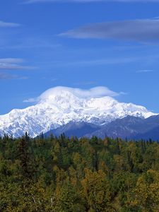 Preview wallpaper mountains, wood, trees, clouds, summer, snow, coniferous