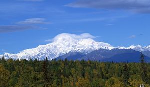 Preview wallpaper mountains, wood, trees, clouds, summer, snow, coniferous