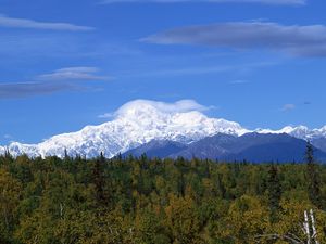 Preview wallpaper mountains, wood, trees, clouds, summer, snow, coniferous