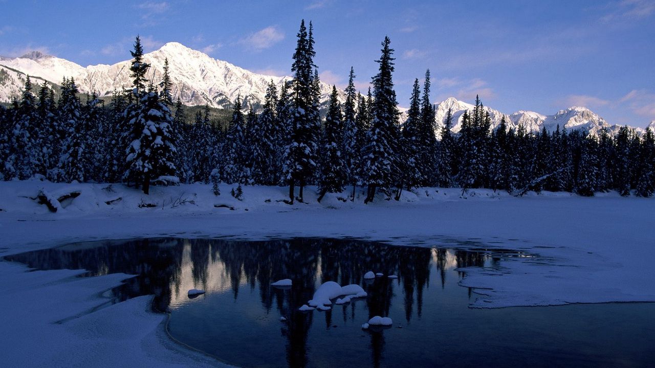 Wallpaper mountains, wood, trees, morning, lake, ice, shadow