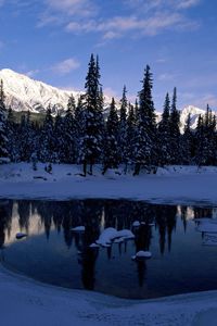 Preview wallpaper mountains, wood, trees, morning, lake, ice, shadow