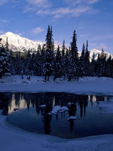 Preview wallpaper mountains, wood, trees, morning, lake, ice, shadow