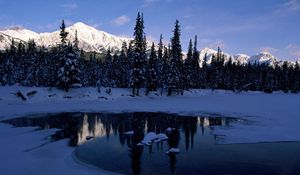 Preview wallpaper mountains, wood, trees, morning, lake, ice, shadow