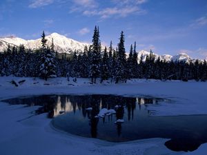 Preview wallpaper mountains, wood, trees, morning, lake, ice, shadow