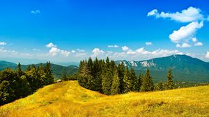 Preview wallpaper mountains, yellow, solarly, clearly, trees, coniferous, sky, blue, freshness