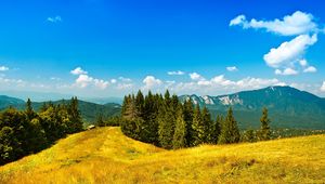 Preview wallpaper mountains, yellow, solarly, clearly, trees, coniferous, sky, blue, freshness
