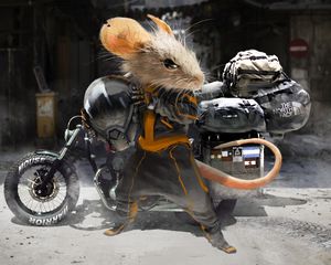 Preview wallpaper mouse, motorcyclist, motorcycle, helmet