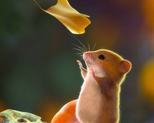 Preview wallpaper mouse, rodent, cute, leaves, art