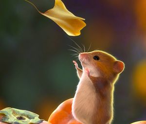 Preview wallpaper mouse, rodent, cute, leaves, art