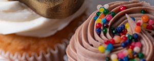 Preview wallpaper muffins, cupcakes, dessert, macro