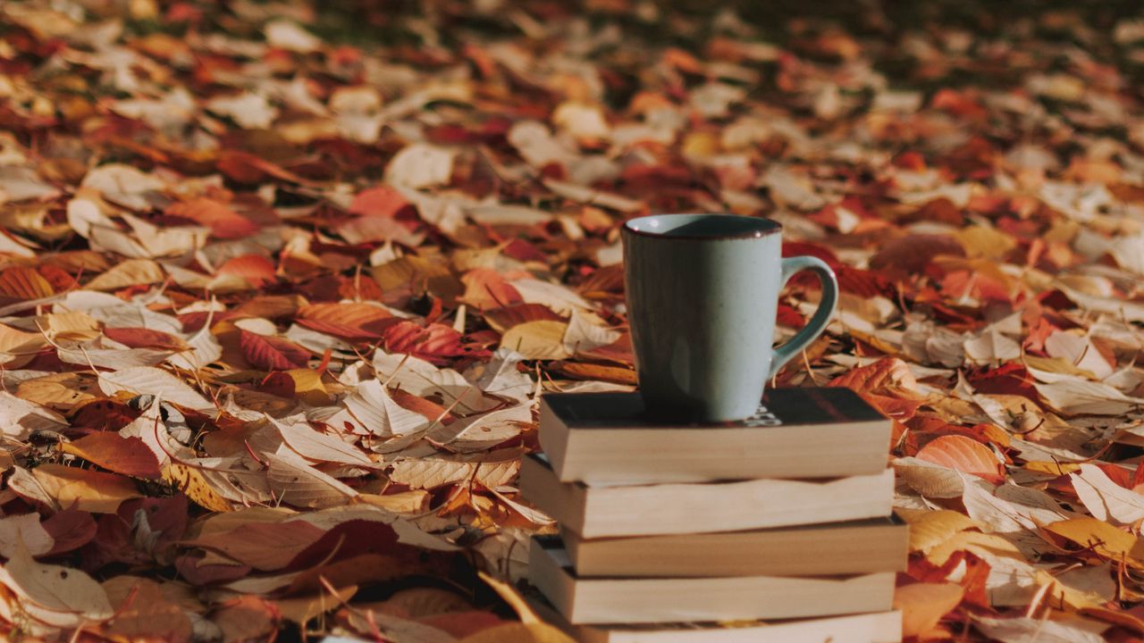 Wallpaper mug, books, foliage, autumn