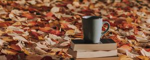 Preview wallpaper mug, books, foliage, autumn