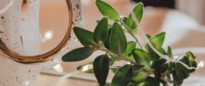 Preview wallpaper mug, branch, garland