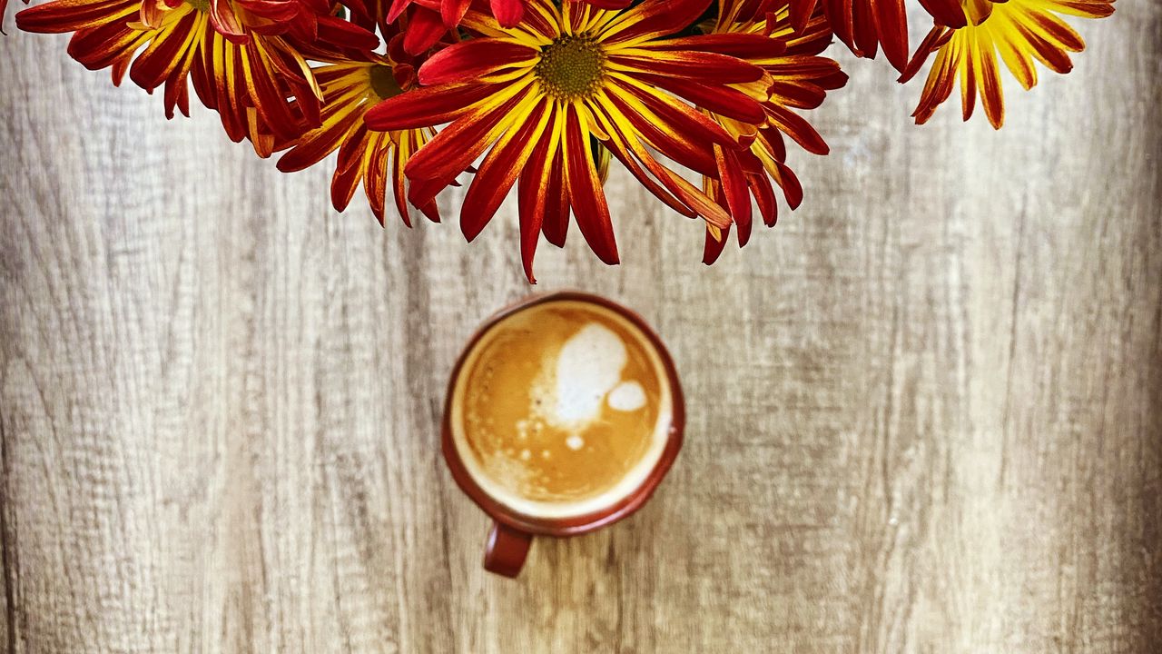 Wallpaper mug, coffee, flowers, bouquet hd, picture, image