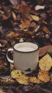 Preview wallpaper mug, coffee, leaves, drink